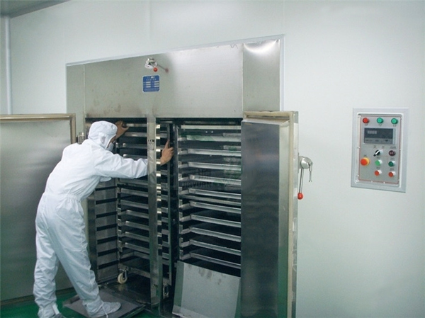 深入了解熱循環(huán)烘箱的應用和工作原理